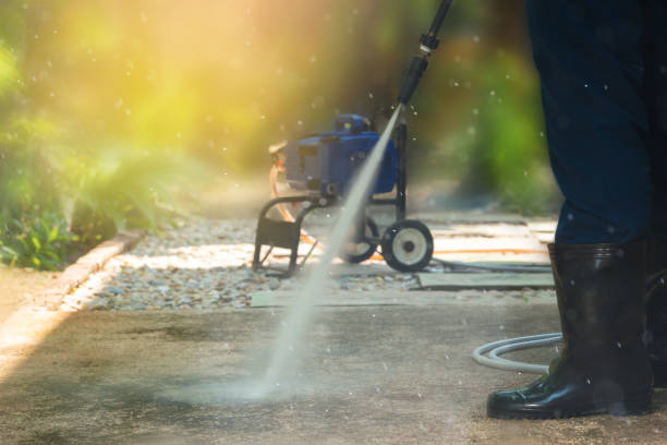Best Solar Panel Cleaning  in Elm Springs, AR